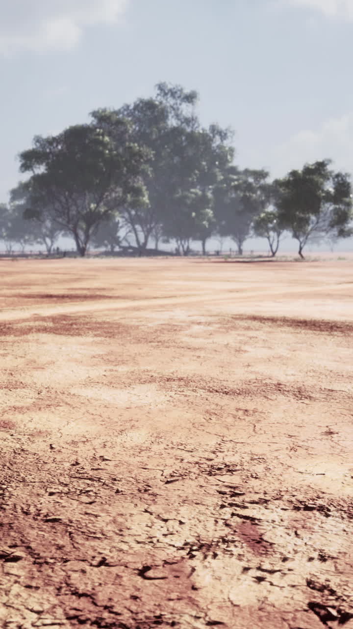 paisaje desértico seco y agrietado con árboles