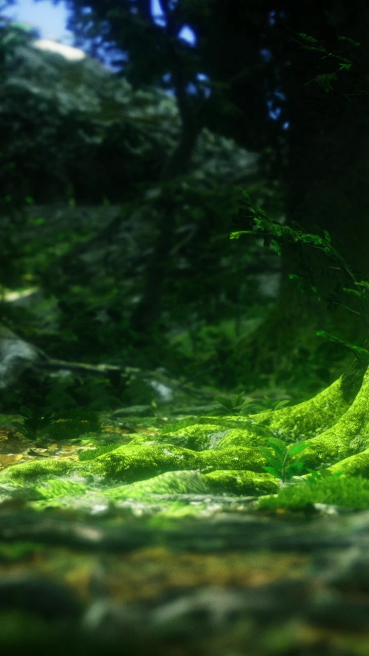 Il suolo della foresta mostra muschio verde brillante e radici di alberi nel bosco