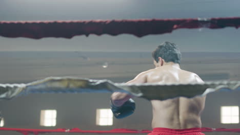 Young-male-boxer-having-break-in-ring-corner