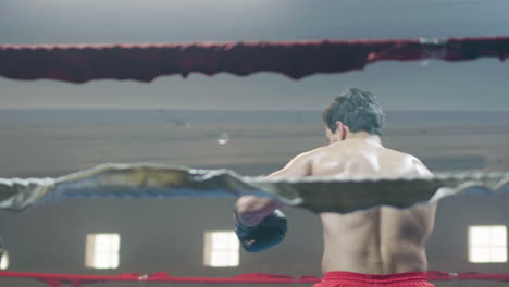 young male boxer having break in ring corner