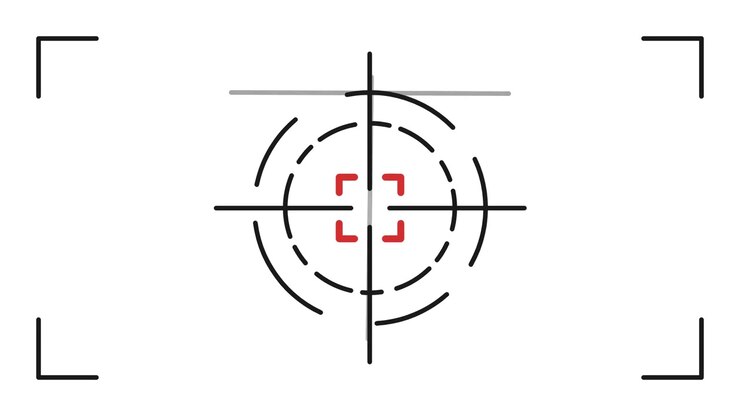 Digital Camera Viewfinder Overlay with Moving Crosshair Target