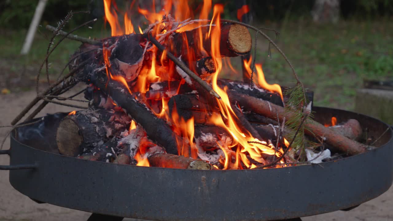 나무 로 된 나무 에 있는 불  ⁇  에서 불타는 불꽃