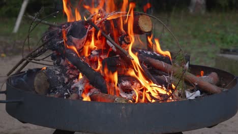 burning flame at fire pit on wooden logs