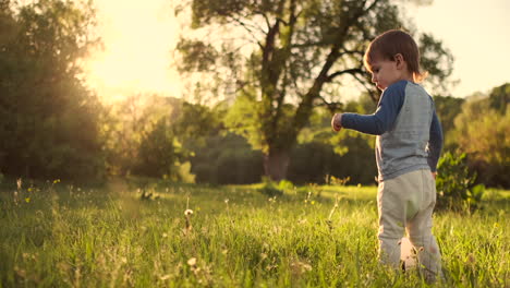 Boy-standing-with-a-soccer-ball-in-the-summer-running-on-the-field-with-grass-rear-view