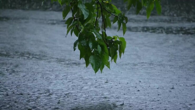 Raindrops are falling on the water.