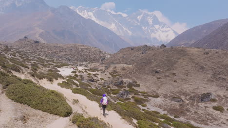drone view of tourist hiking at dingboche, carrying luggage and stick to travel on everest base camp trek. scenic himalayan serenity and peaceful adventure tourism in nepal