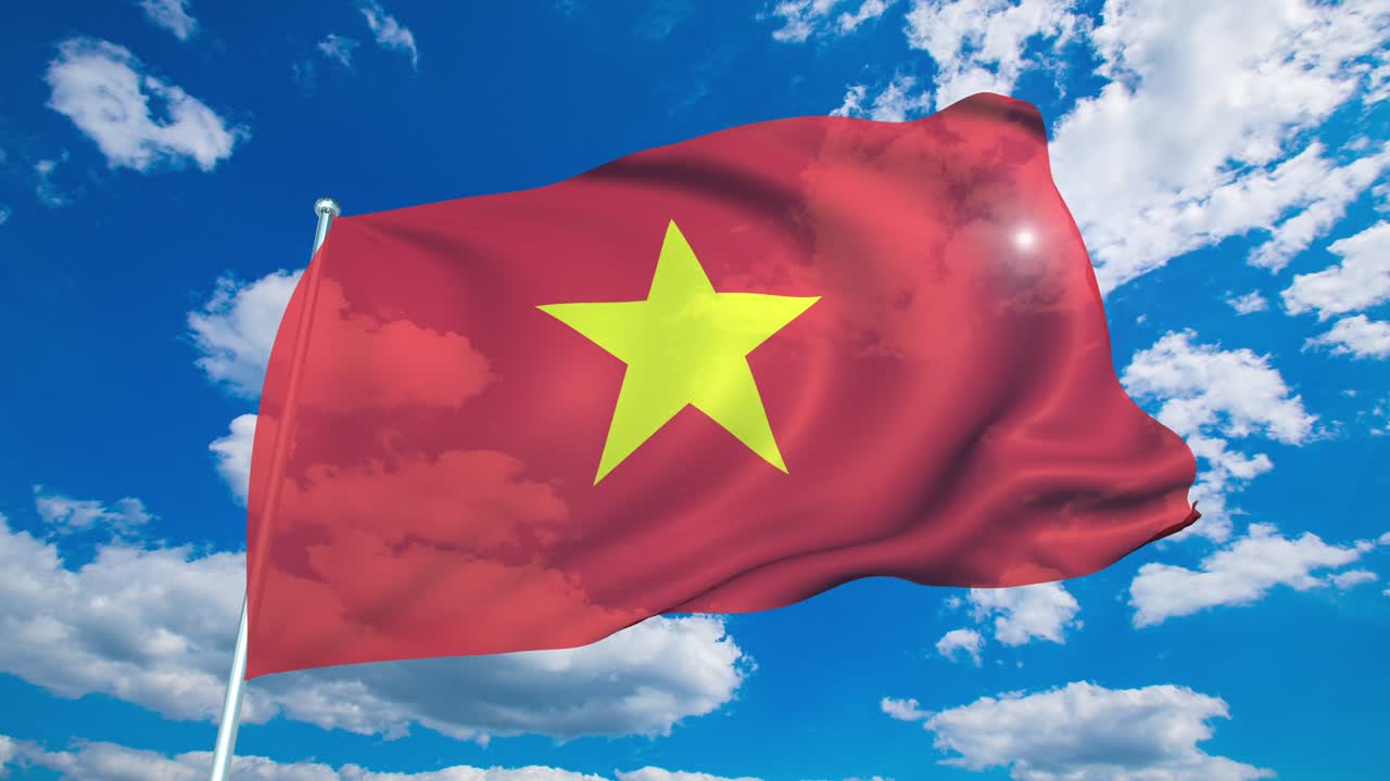 흐린 하늘을 배경으로 직물 구조로 된 베트남 발 (loopable)