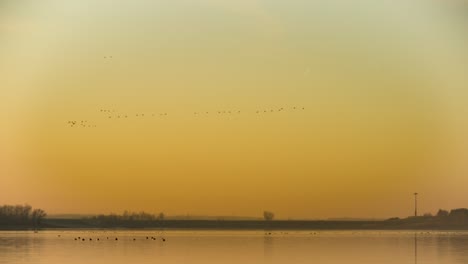 Vögel,-Die-Während-Eines-Gelben-Sonnenuntergangs-In-AV-Formation-Fliegen