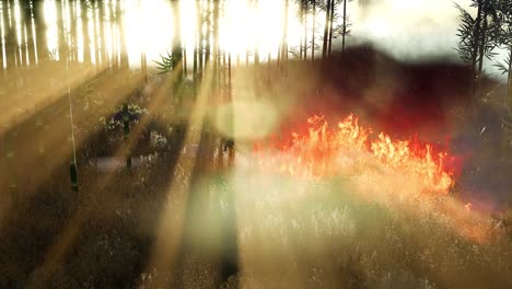 wind blowing on a flaming bamboo trees during a forest fire