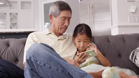 grandfather and granddaughter using mobile phone shot on r3d