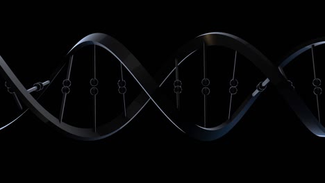 dna-orizontal black and blue color