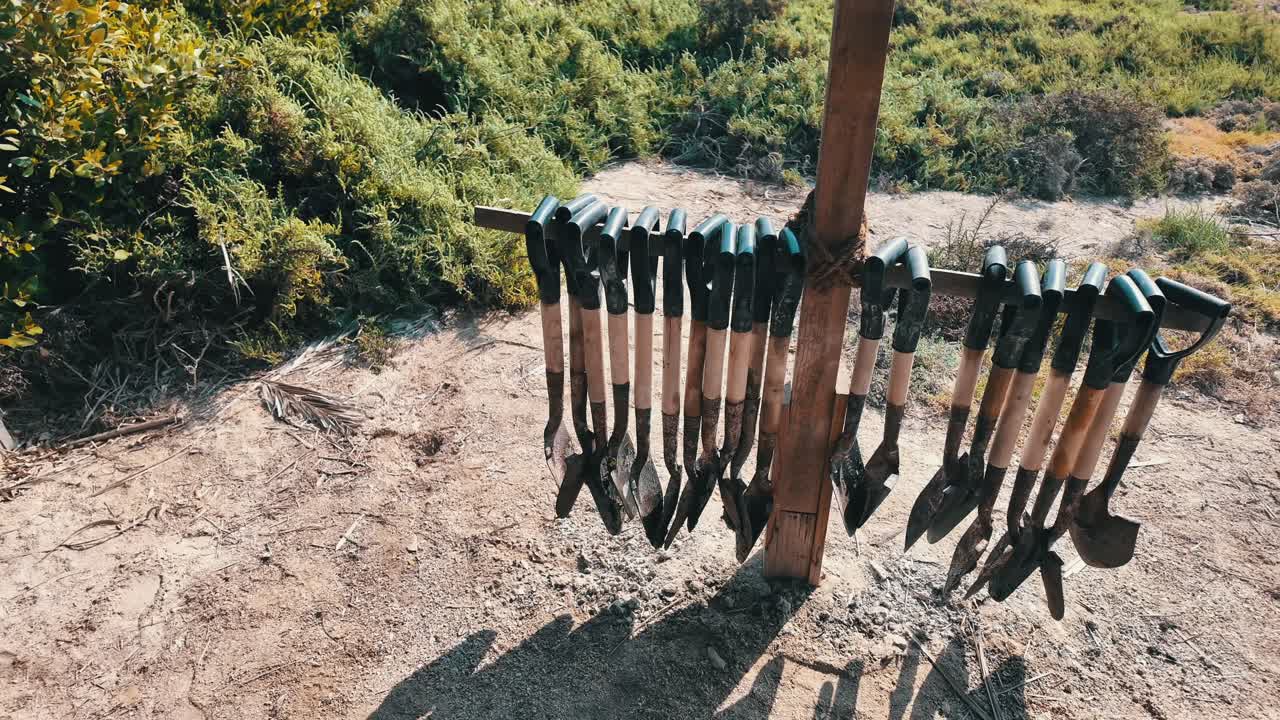 Al Zorah Mangrove, Ajman, UAE – a coastal sanctuary rich in biodiversity and scenic beauty.