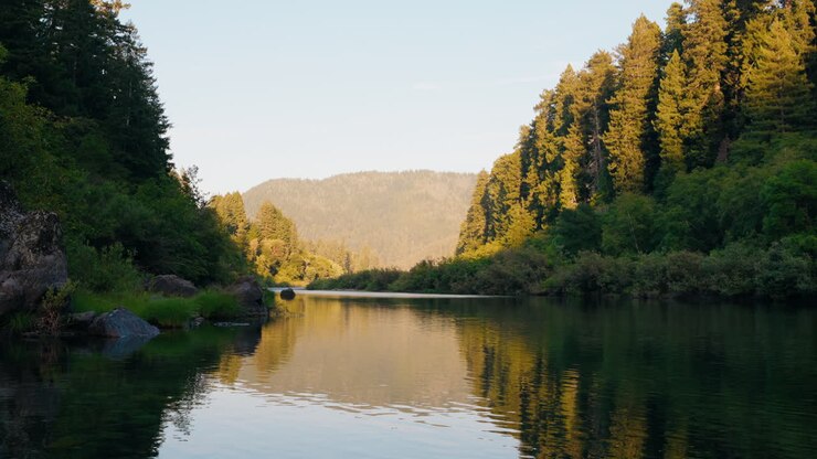 Sunrise shines warm light on forest and peaceful river scene