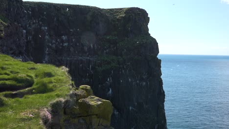 Die-Vogelklippen-Von-Latrabjarg-Island-Sind-Ein-Vogelbeobachtungsvergnügen,-Das-Wanderer-Erkunden