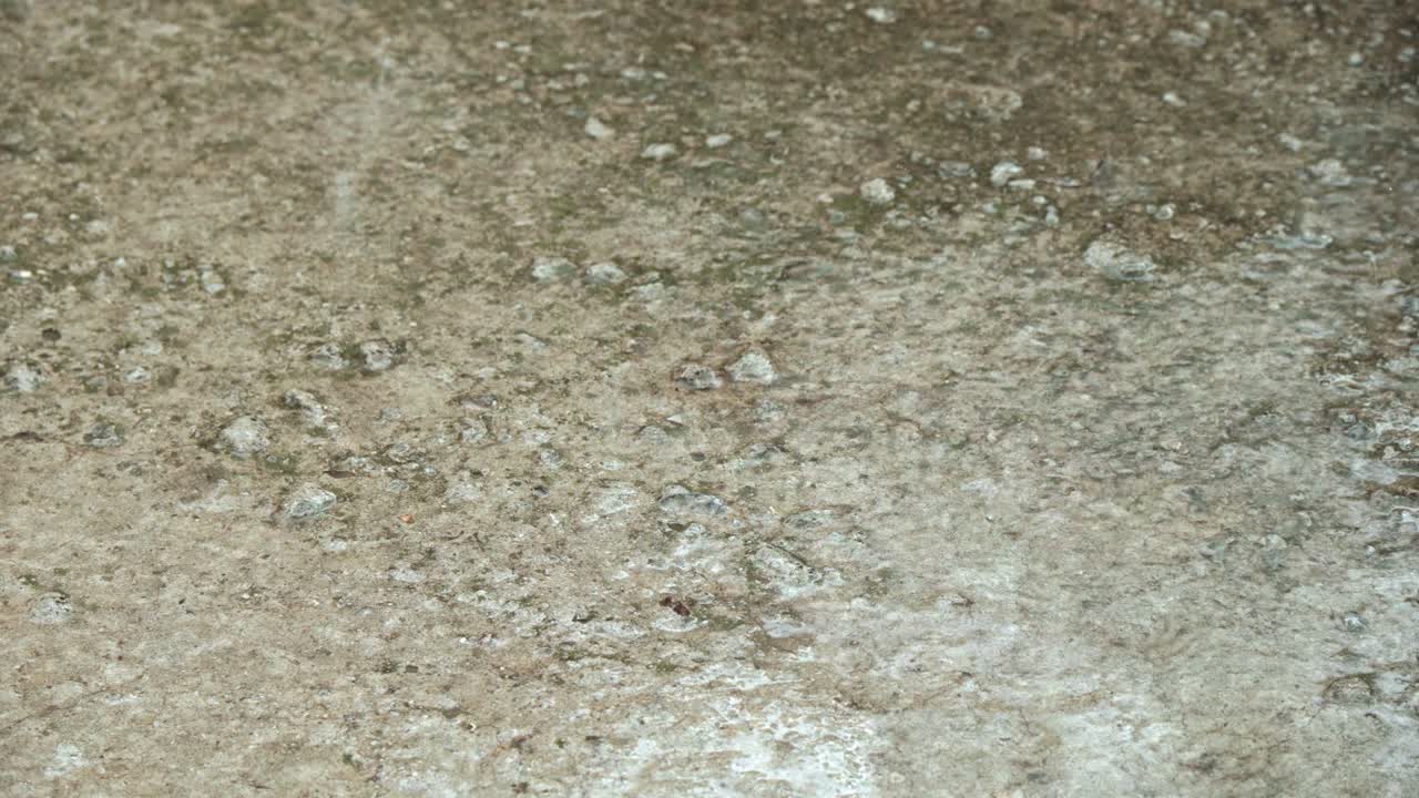 Drops of heavy rain fall on road.