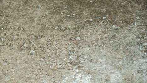drops of heavy rain fall on road.