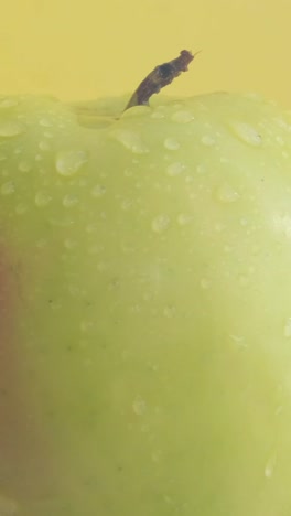 ripe fresh apple lie on a yellow background. 4k video