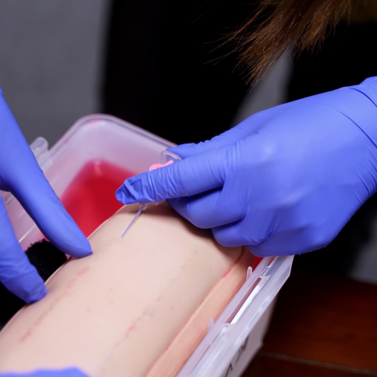 Surgeon student trains to inserting needle for catheter on medical dummy. Hands in blue latex gloves