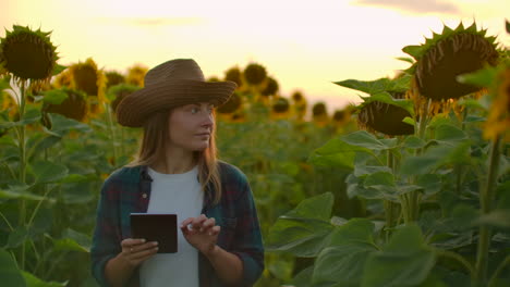 Una-Estudiante-Camina-Por-El-Campo-Con-Grandes-Girasoles-Amarillos-Y-Los-Examina.-Ella-Escribe-Sus-Características-En-El-Ipad.