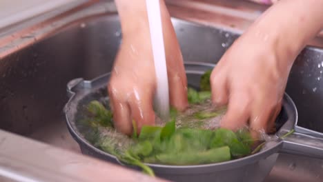 washing spinach