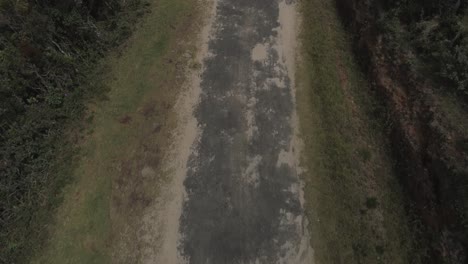 revealing drone shot of a tropical jungle in sri lanka