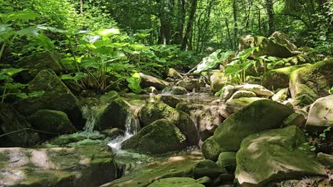 Explore-La-Naturaleza-Salvaje-Italiana-Con-Pequeñas-Y-Encantadoras-Cascadas-Rodeadas-De-Exuberante-Vegetación.