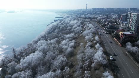 Schneelandschaftsbäume-An-Der-Küstenstadtstraße-In-Galati,-Rumänien