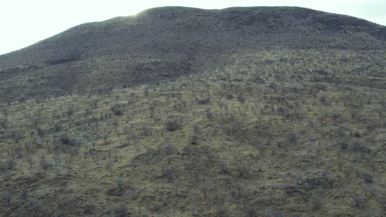 sabana de pastizales de kaokoland en namibia, paisaje aéreo de 4k