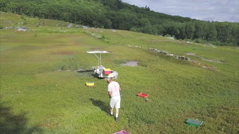 un trabajador agrícola recogiendo arándanos en un campo durante la cosecha con esperanza, maine