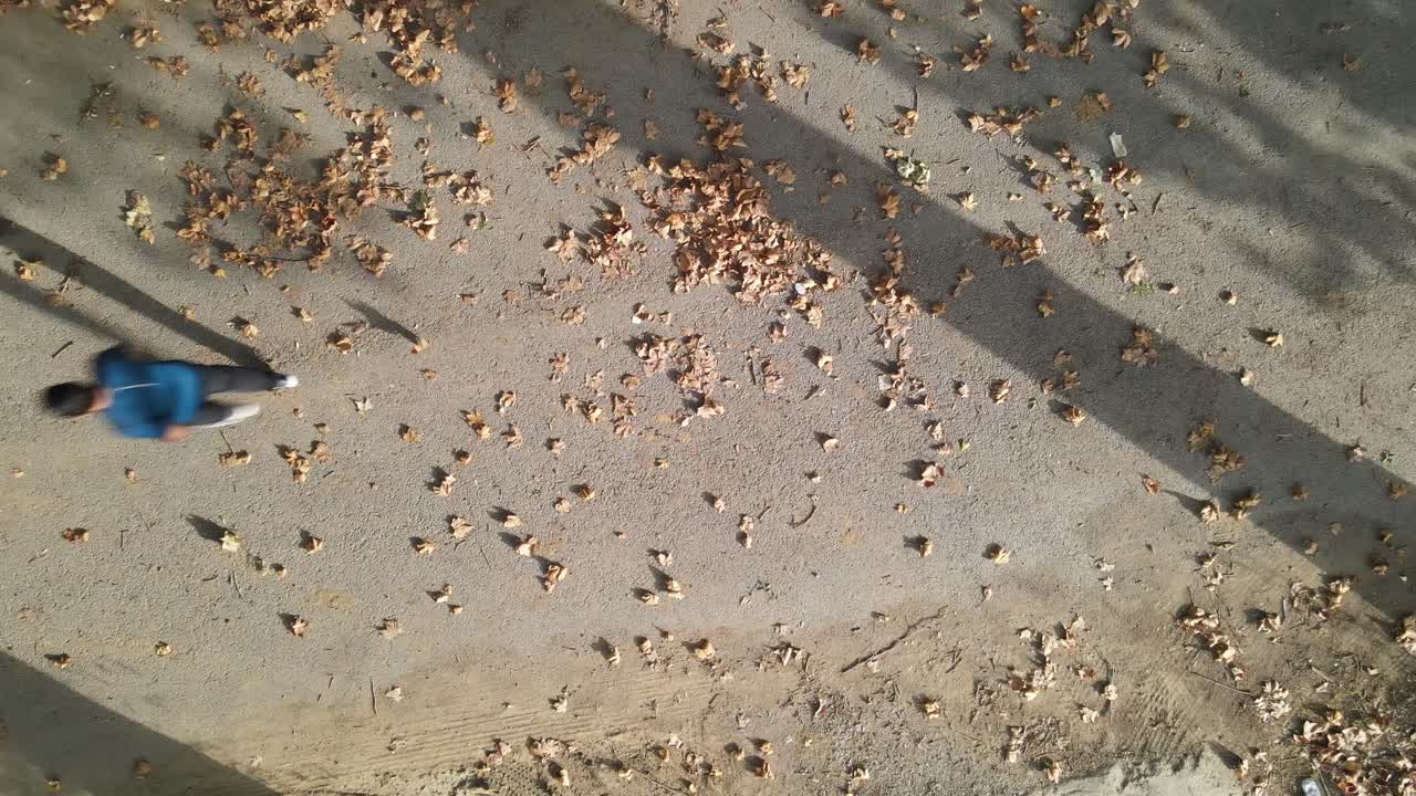 가을 공원 스포츠 달리기 1