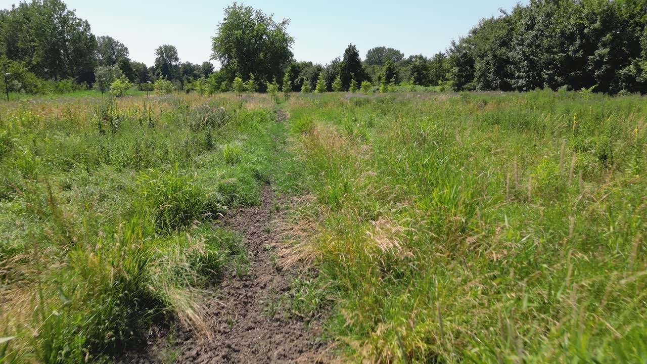 беспилотный летательный аппарат выстрелил над зеленым лугом в природном парке города альмере, провинция флеволанд, нидерланды