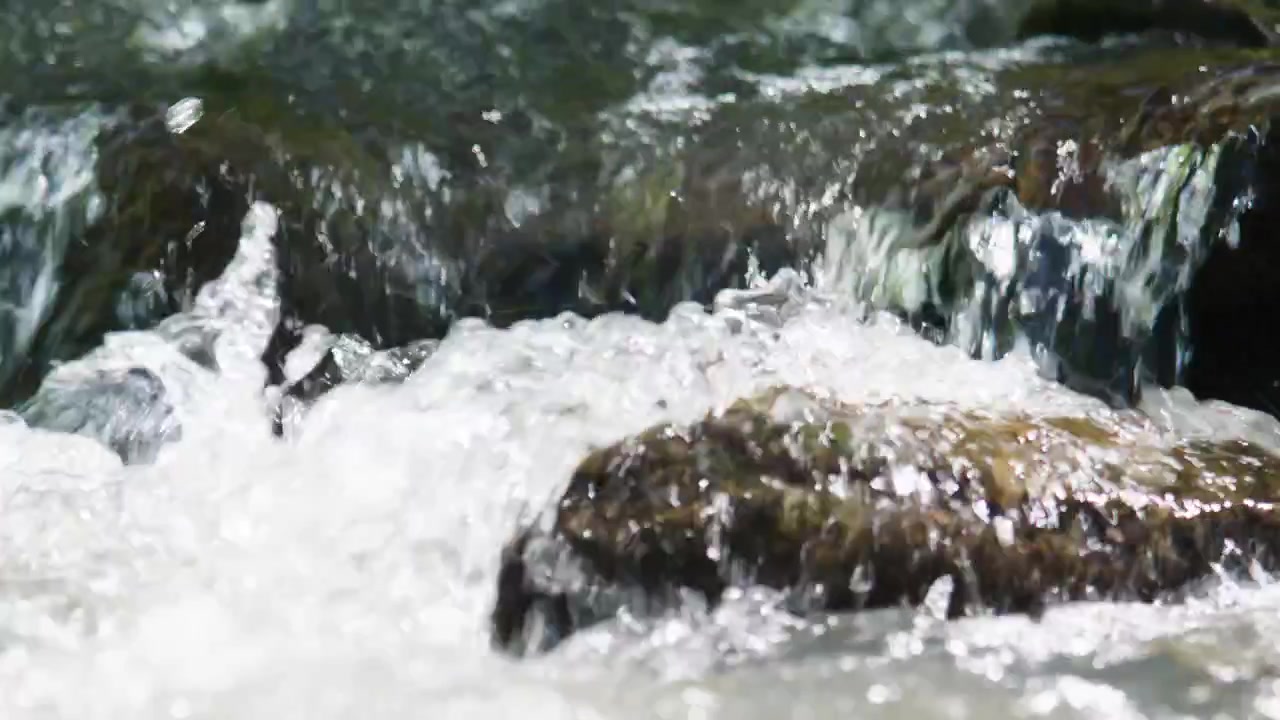L'acqua schizza su rocce muschiose in un ruscello impetuoso. Schiuma bianca si alza mentre la corrente trascina le pietre. La potenza della natura scorre attraverso un terreno accidentato. Perfetto per documentari sulla natura o progetti a tema ecologico.