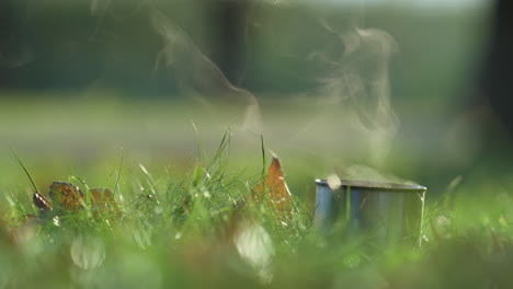 Hot-steam-rising-thermos-cup-close-up.-Warm-beverage-placed-fresh-green-grass.