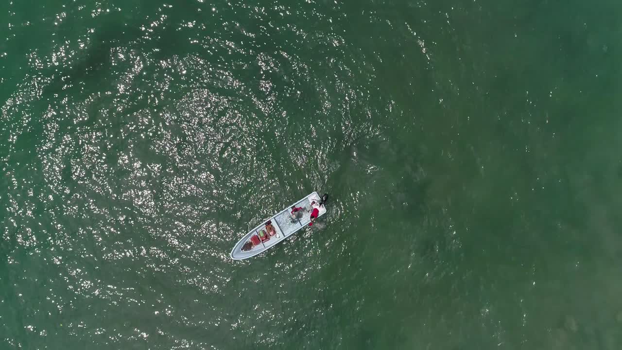 지카텔라 비치 푸에르토 에스콘디도, 오악사카에 있는 판가 보트의 공중 세니탈 샷