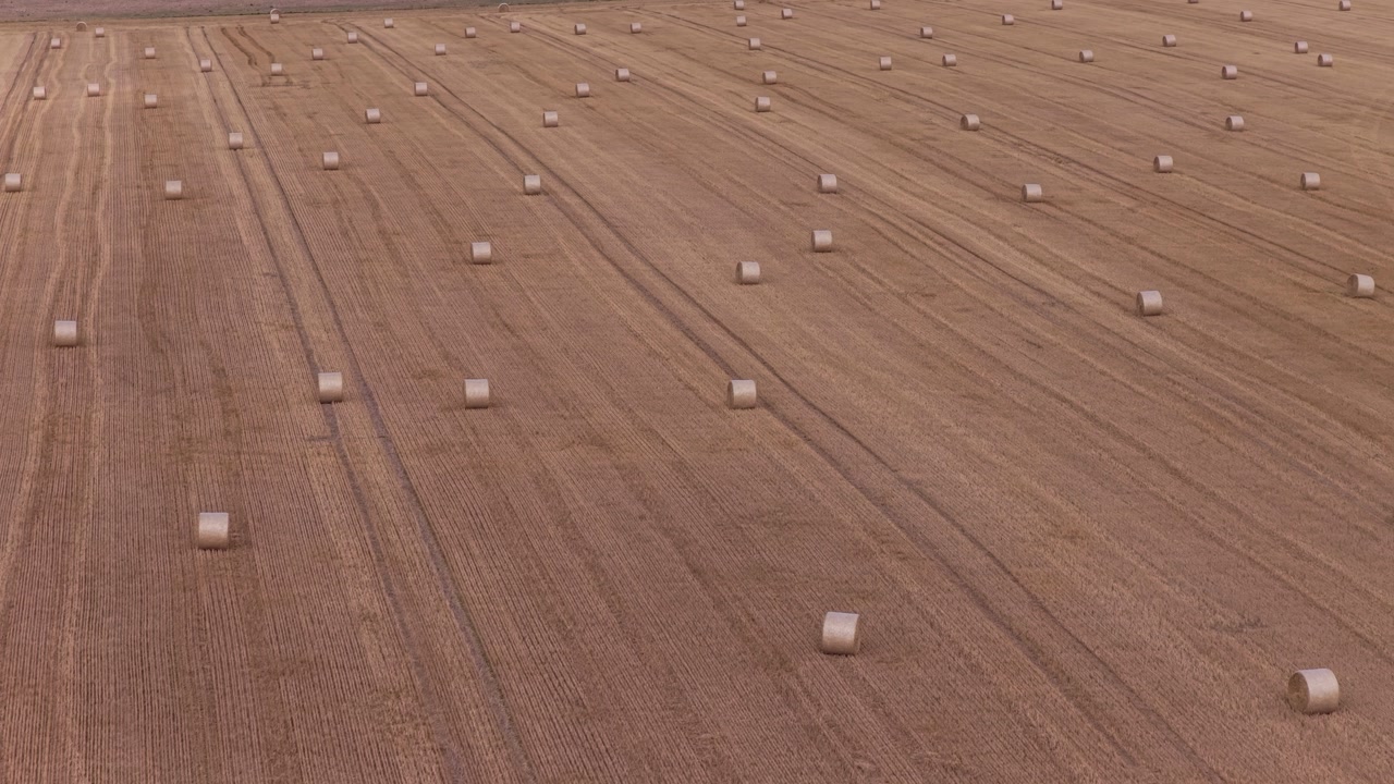 Drone view of hay bales scattered across a harvested field in the summer countryside.