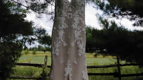 gorgeous designer wedding dress hanging in the back yard at the strathmere wedding and event center in ottawa, canada