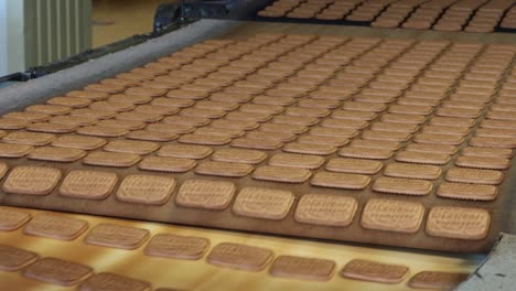 conveyor belt at a confectionery factory with sweet cookies in motion