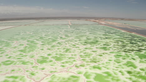 el lago verde salino, el fondo del lago natural.