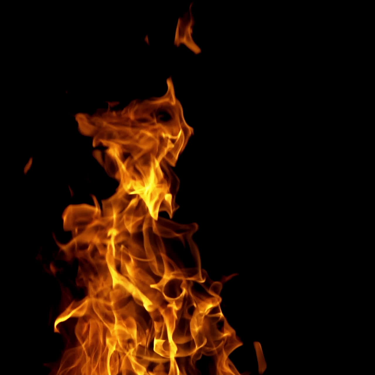 Beautiful abstract bonfire burns up brightly at night. Large orange flame isolated on dark background.