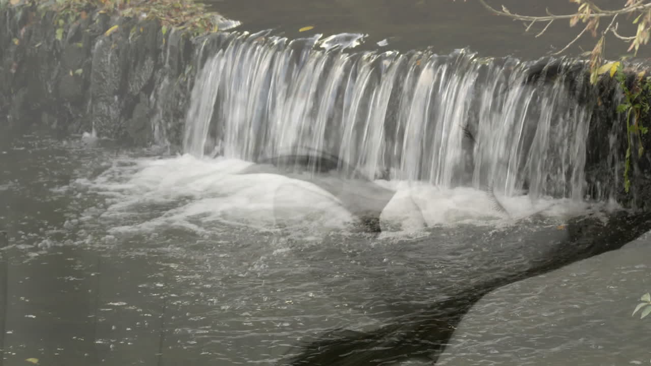 애니메이션 장면에서 수영하는 백조와 함께 바위 위에 폭포가 떨어집니다.