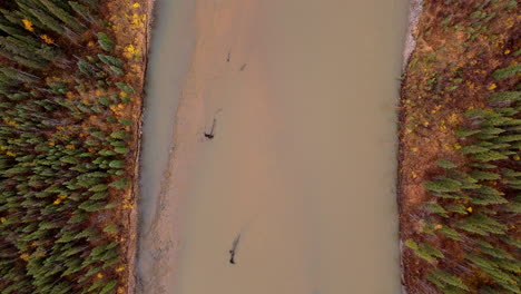 above view of ogilvie river near engineer creek, dempster highway, yukon, canada. aerial shot
