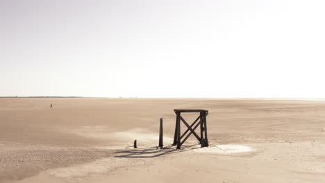 Eine-Achtzig-Umdrehung-Um-Ein-Holzobjekt-Am-Strand