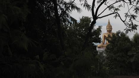 golden buddha statue through the forrest at a distance
