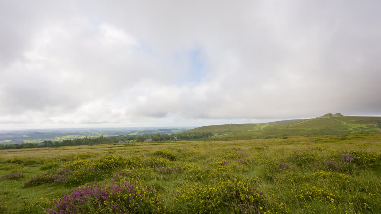 Panoramic View of a Hilly Meadow