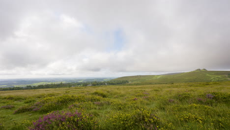 panoramic view of a hilly meadow