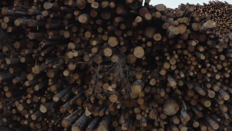 4k close-up drone shot of trunks of logs in stock in a forest timber factory