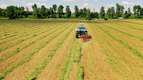 agricultural process with green grass in the field. tractor is working in summer on the grassland in a sunny day.