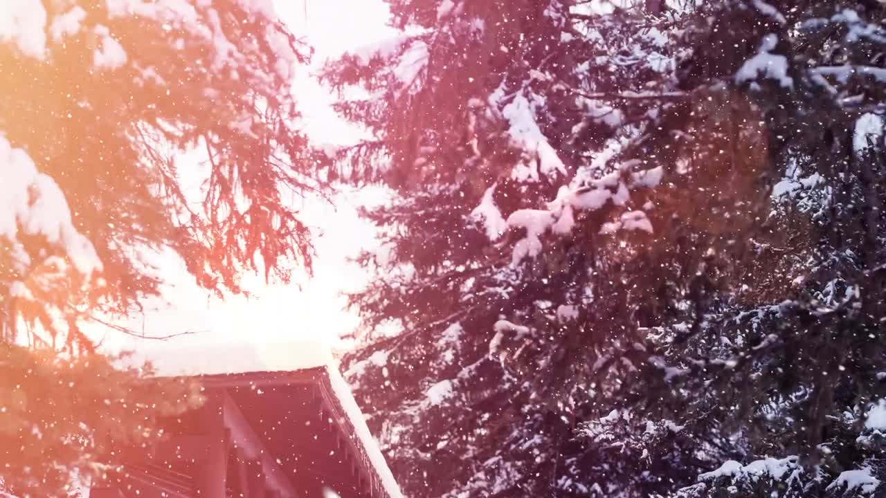 animación de abetos en el paisaje de invierno