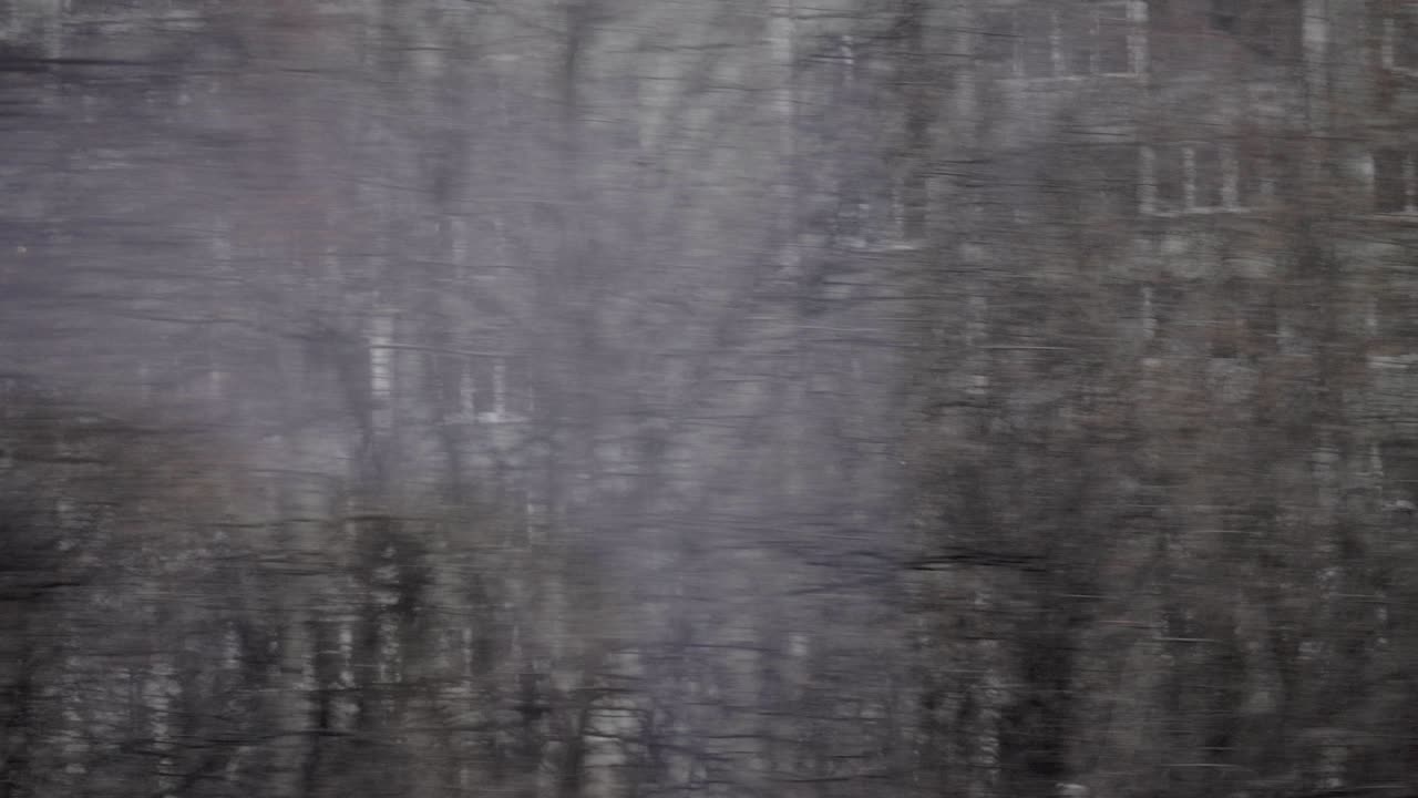 árboles y casas de varios pisos, vista desde un tren en movimiento