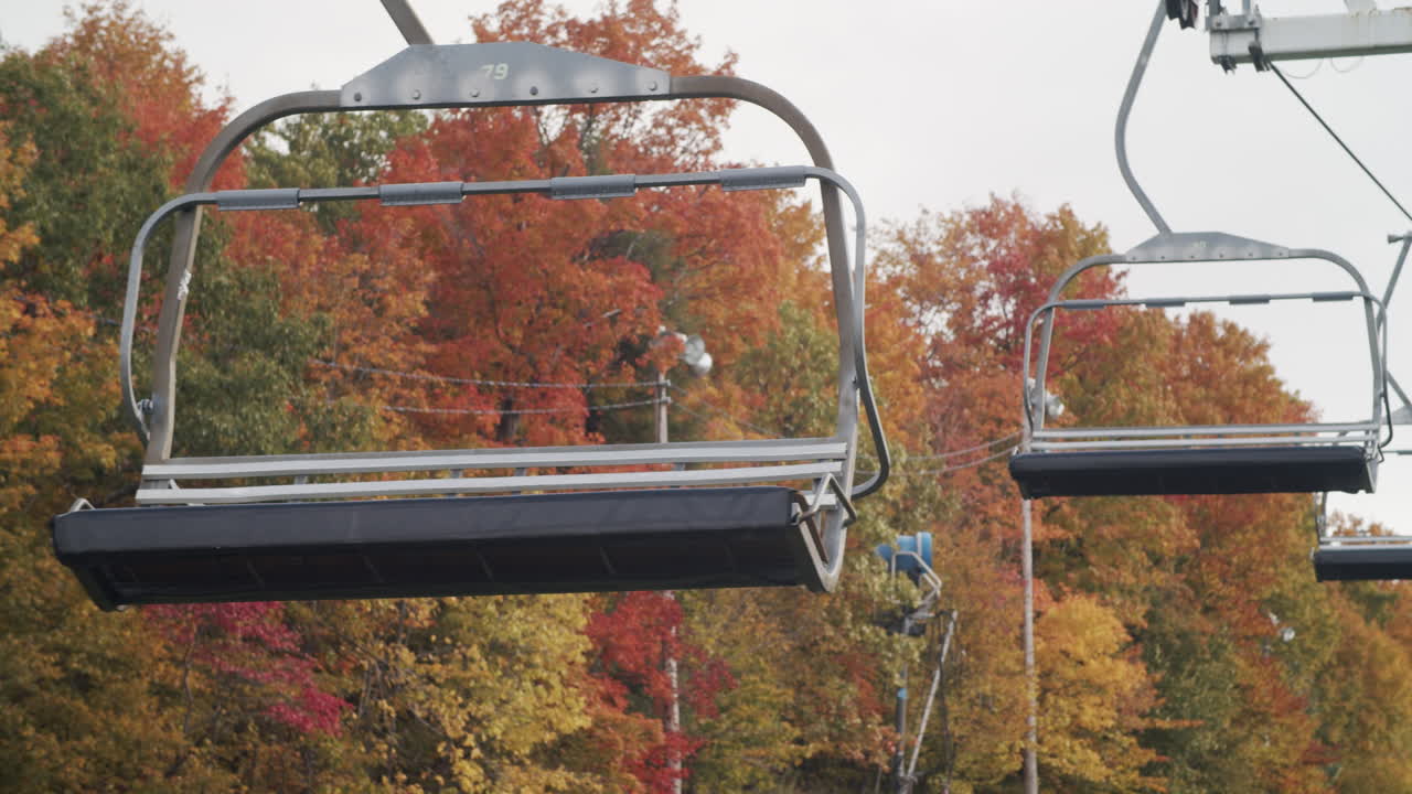 색 ⁇ 의 잎이 있는 산에서  ⁇ 은 가을 날